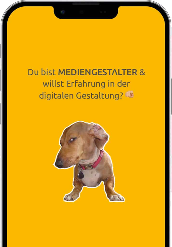 Social-Recruiting-Anzeige von BRANDORT: Mediengestalter*in Digital in Zell am Main gesucht. Ein fragend blickender Dackel ist abgebildet.